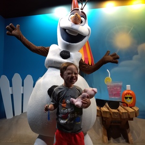 Fundraising Page: Janice Hendrix